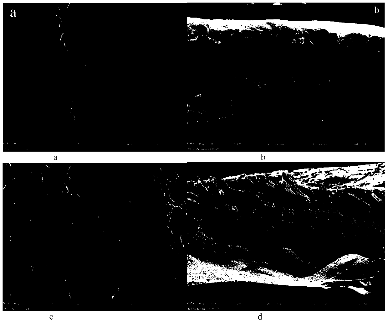 Preparation method and application of C3N4 modified organic membrane