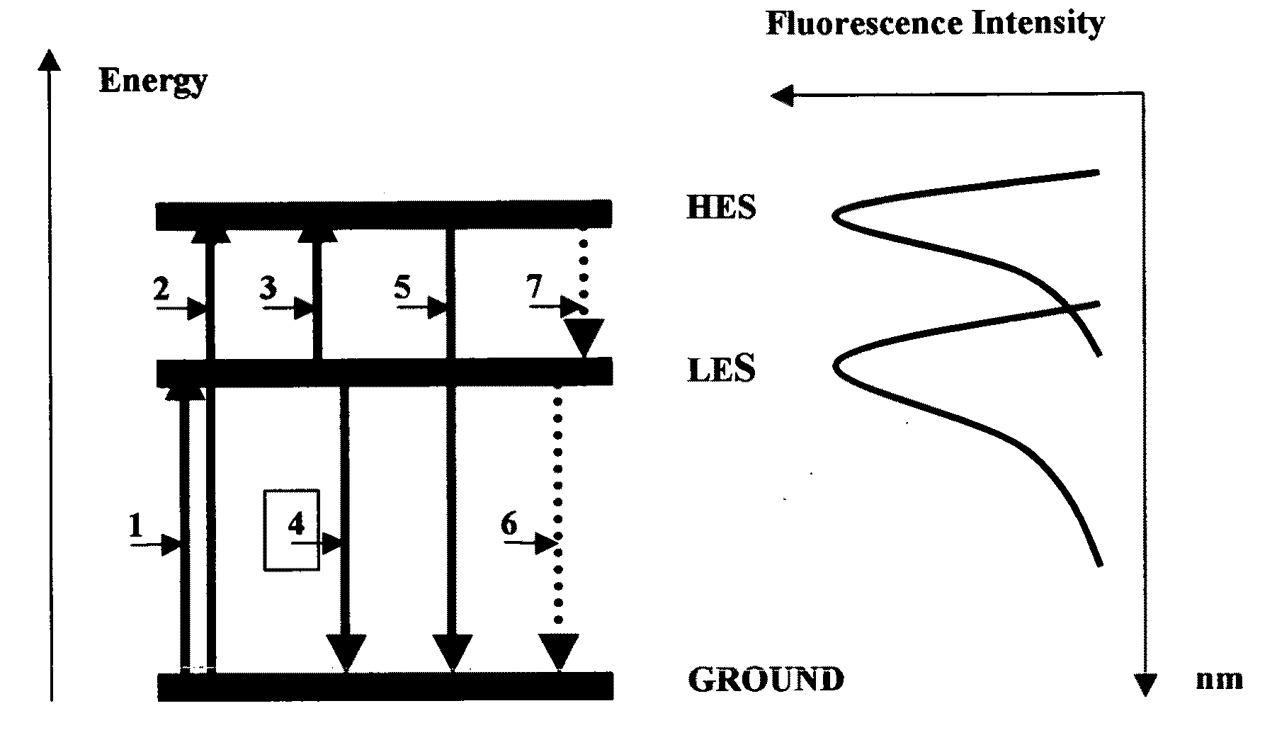 Non-invasive fast-response biodosimeter