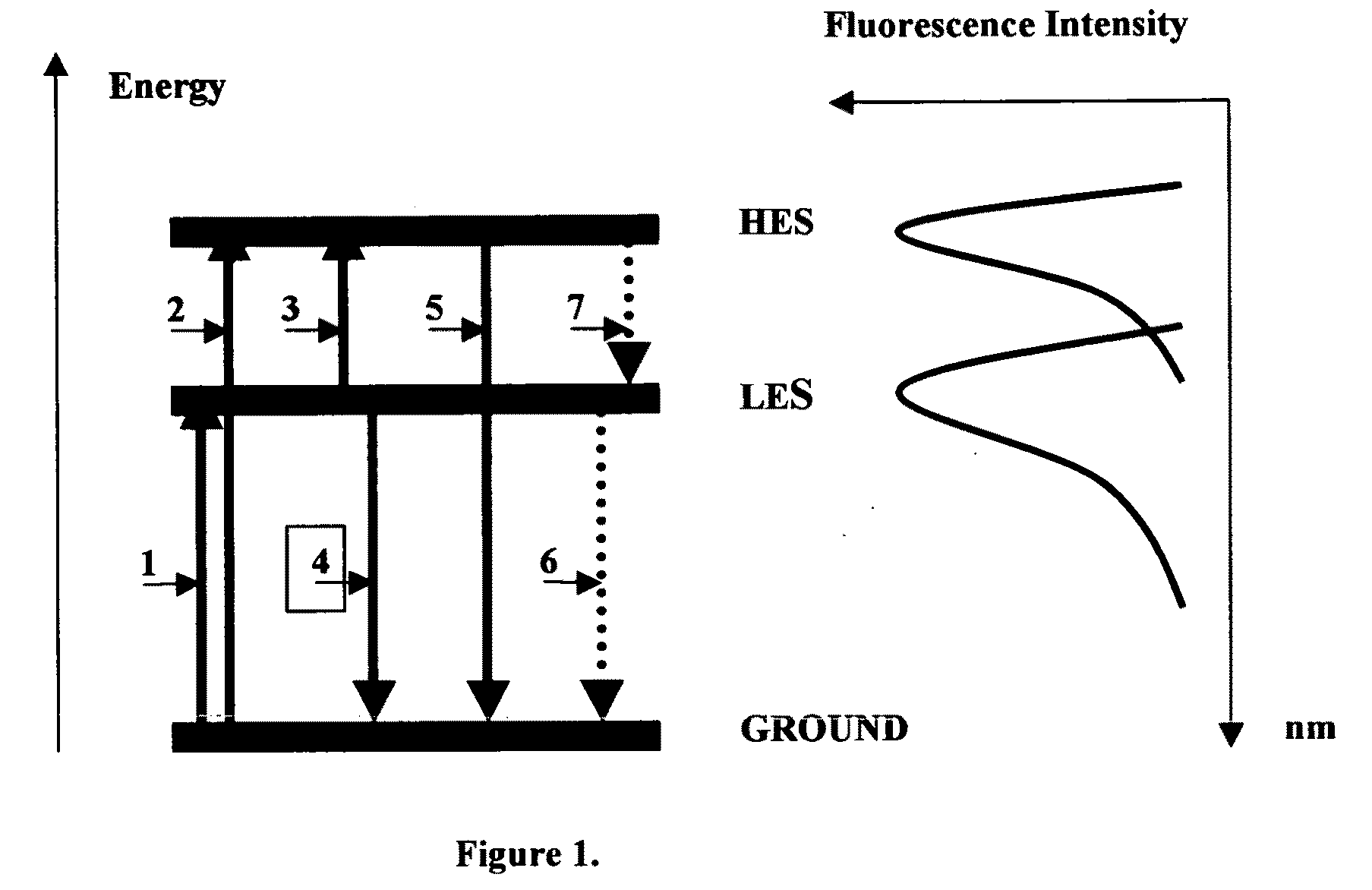 Non-invasive fast-response biodosimeter