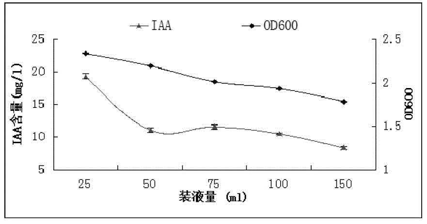 Maize root growth-promoting bacterium YM6 and application thereof