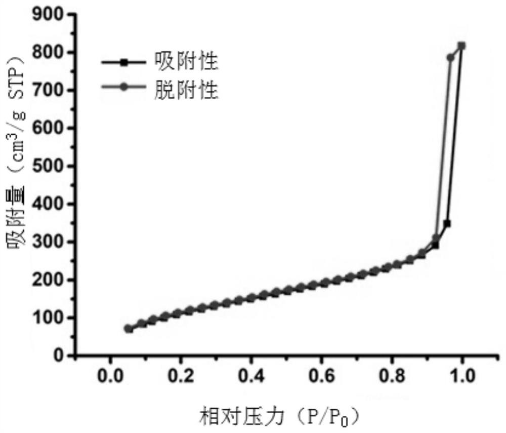 Mesoporous silicon nanoparticles capable of responding to X-rays to release drugs as well as preparation method and application of mesoporous silicon nanoparticles