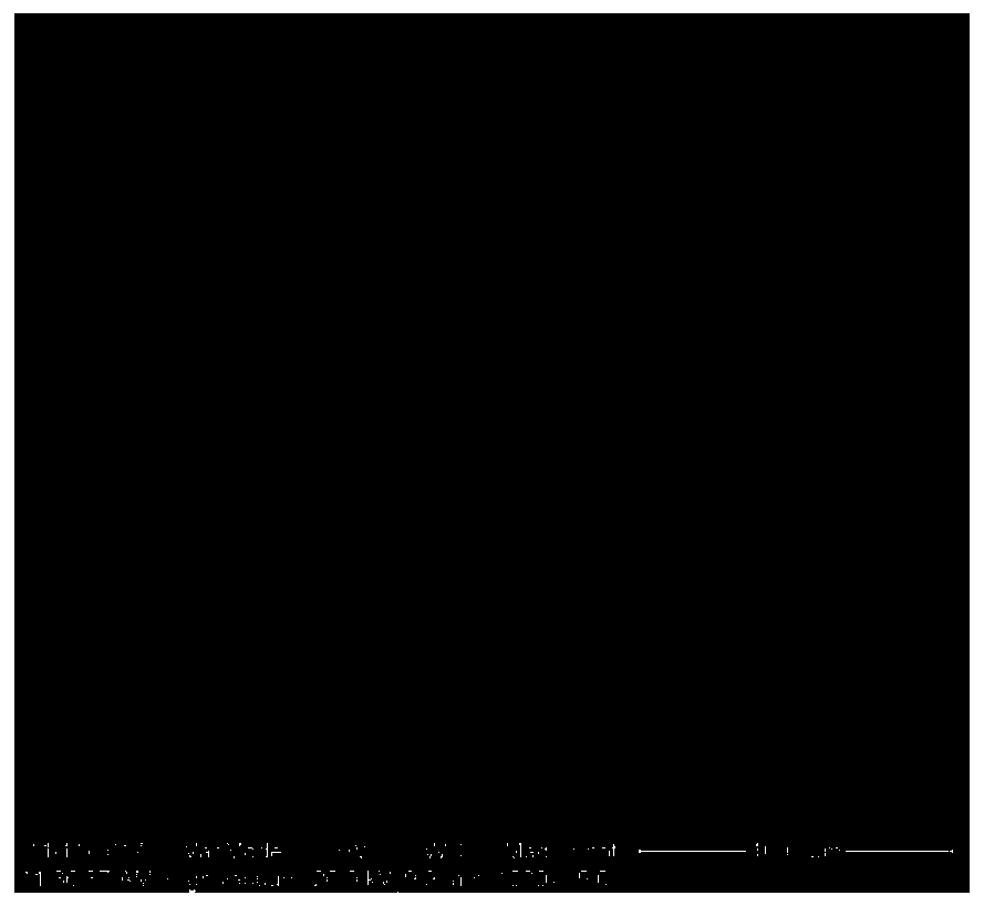 Preparation method for glue-injected small polished surface of soil sample