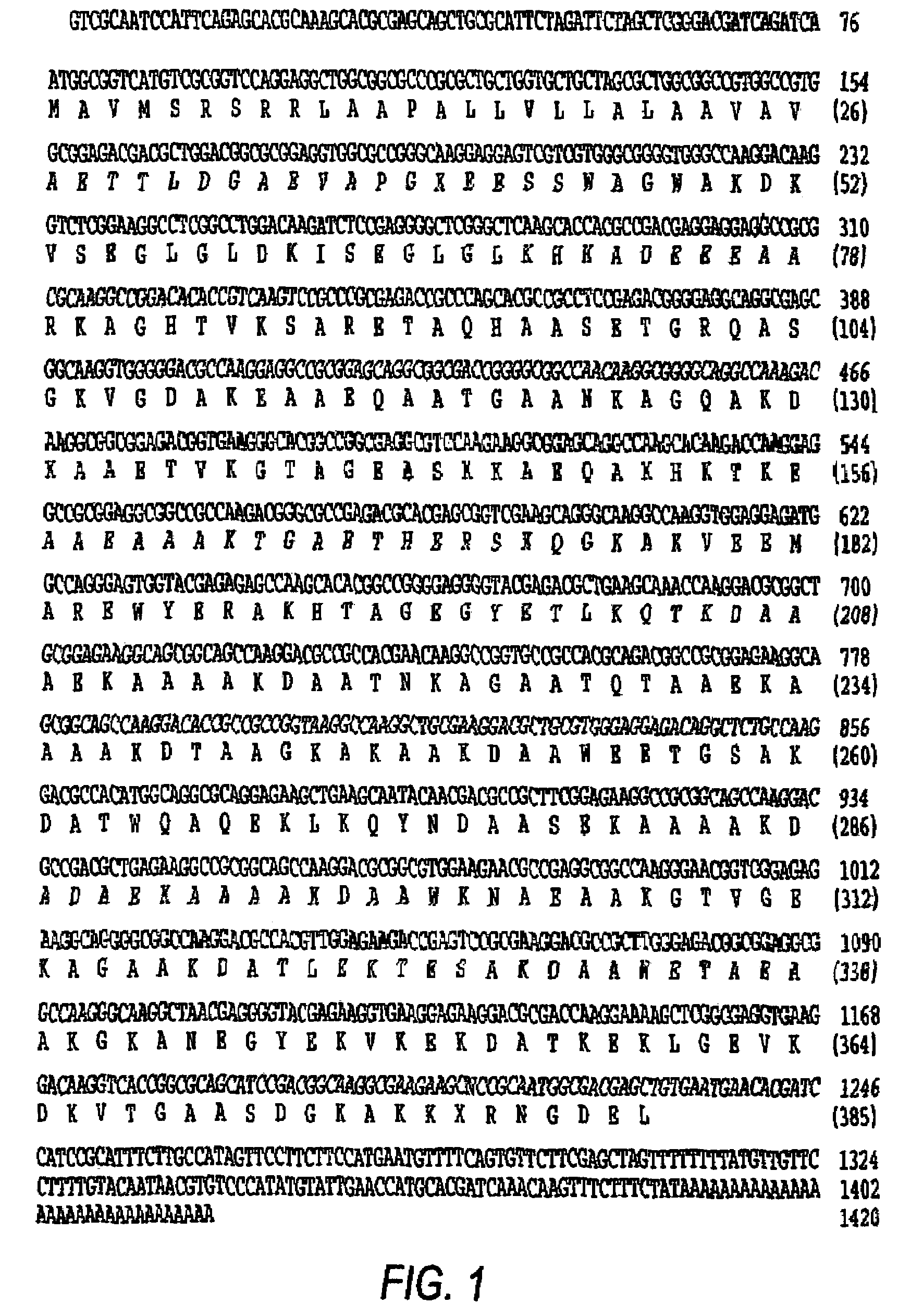 Plant stress tolerance genes, and uses therefor