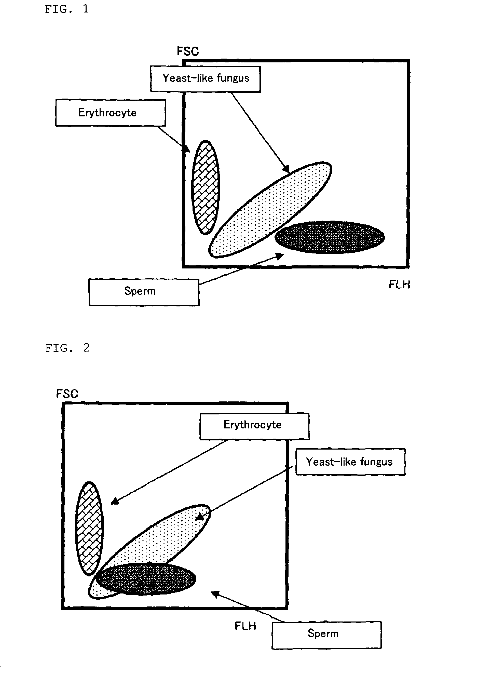 Reagent for analyzing urine and method for analyzing urine