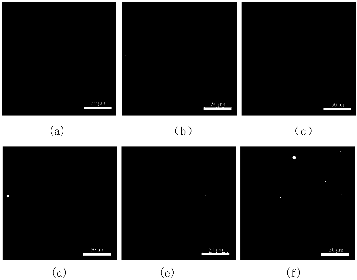 Dimethylpolysiloxane composite membrane and preparation method and application thereof