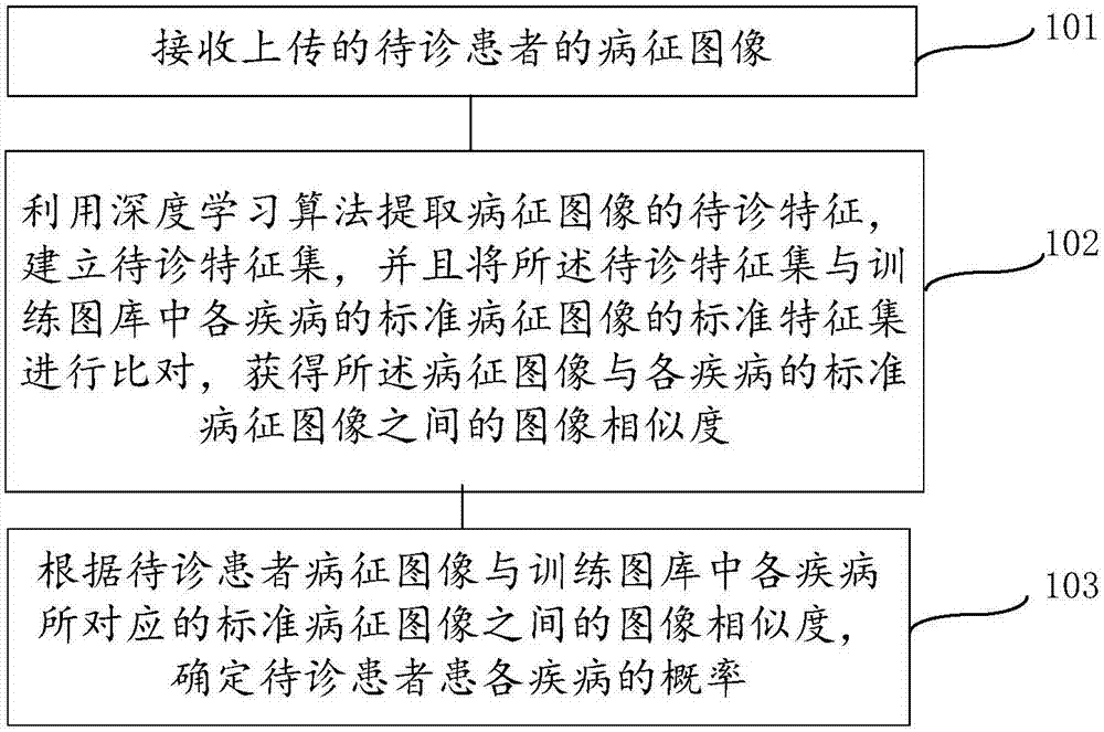 Disease auxiliary diagnosis method based on image identification