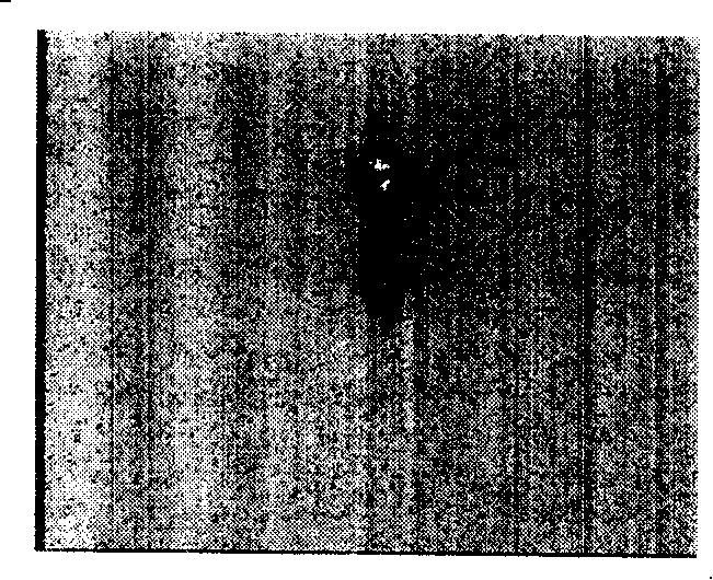 Monitoring system and method for monitoring operation of electric element using the system