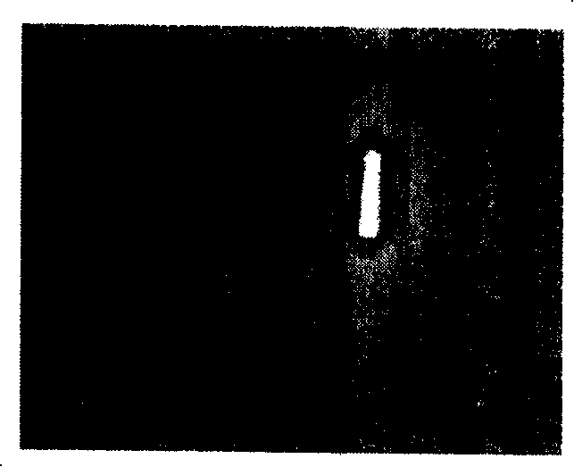 Monitoring system and method for monitoring operation of electric element using the system