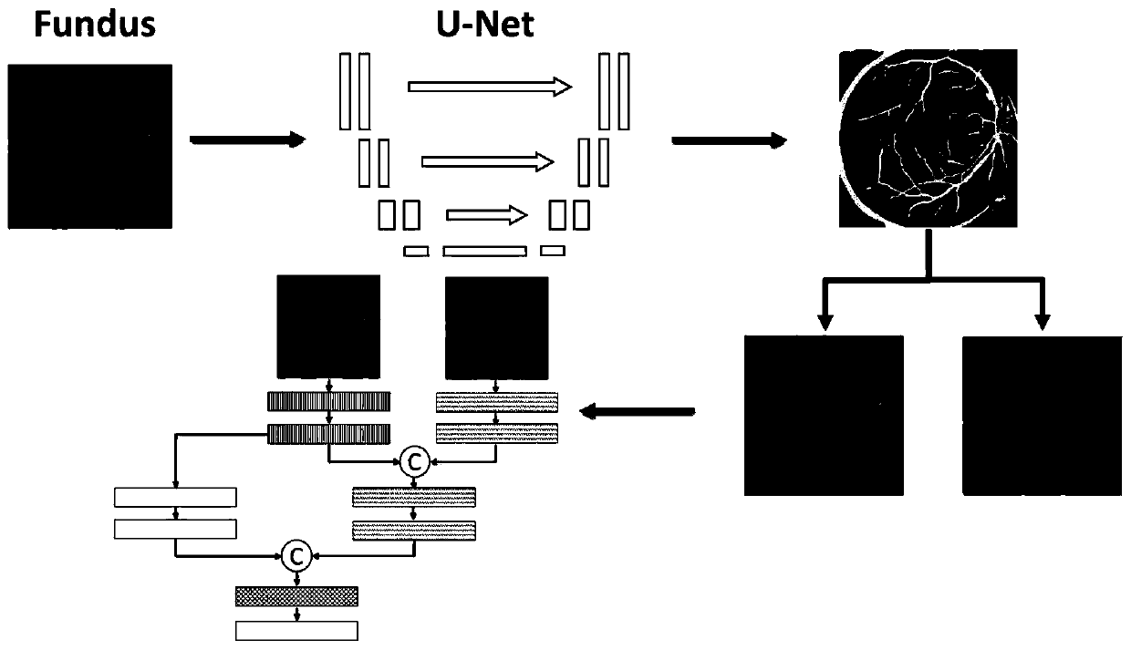 Fundus image quality evaluation method based on blood vessel segmentation and background separation