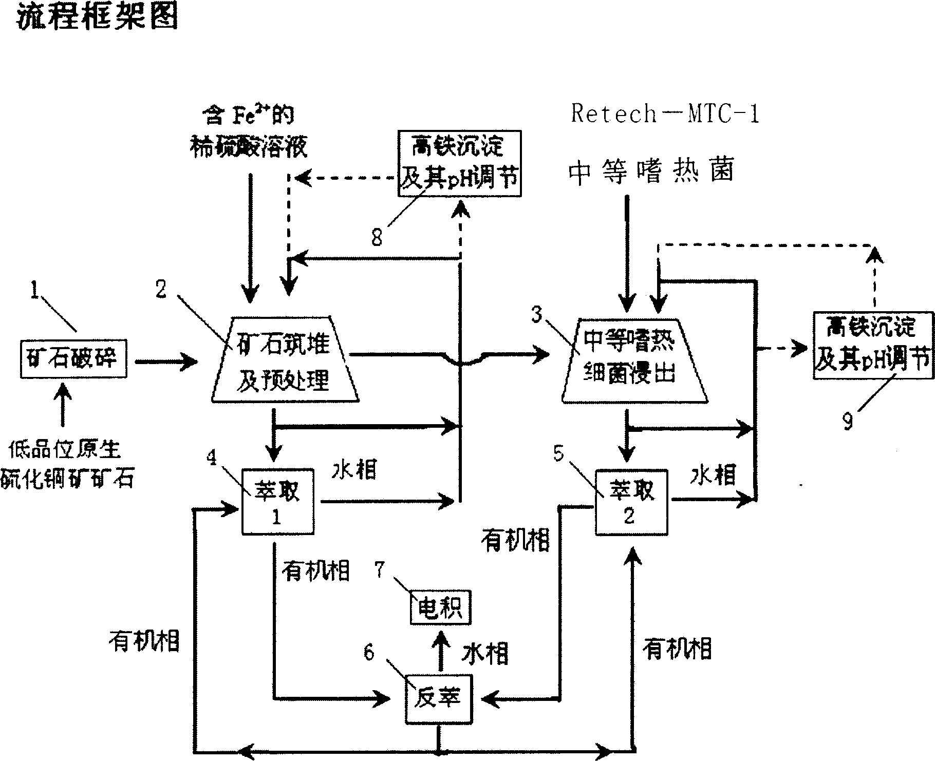 Middle thermophilic bacteria and chemical and biological combined heap leaching technique for low-grade primary copper ore