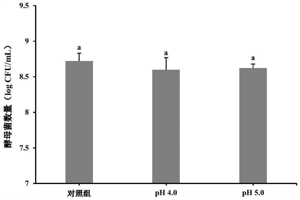 Debaryomyces hansenii with good fermentation performance and aroma production function and screening method thereof