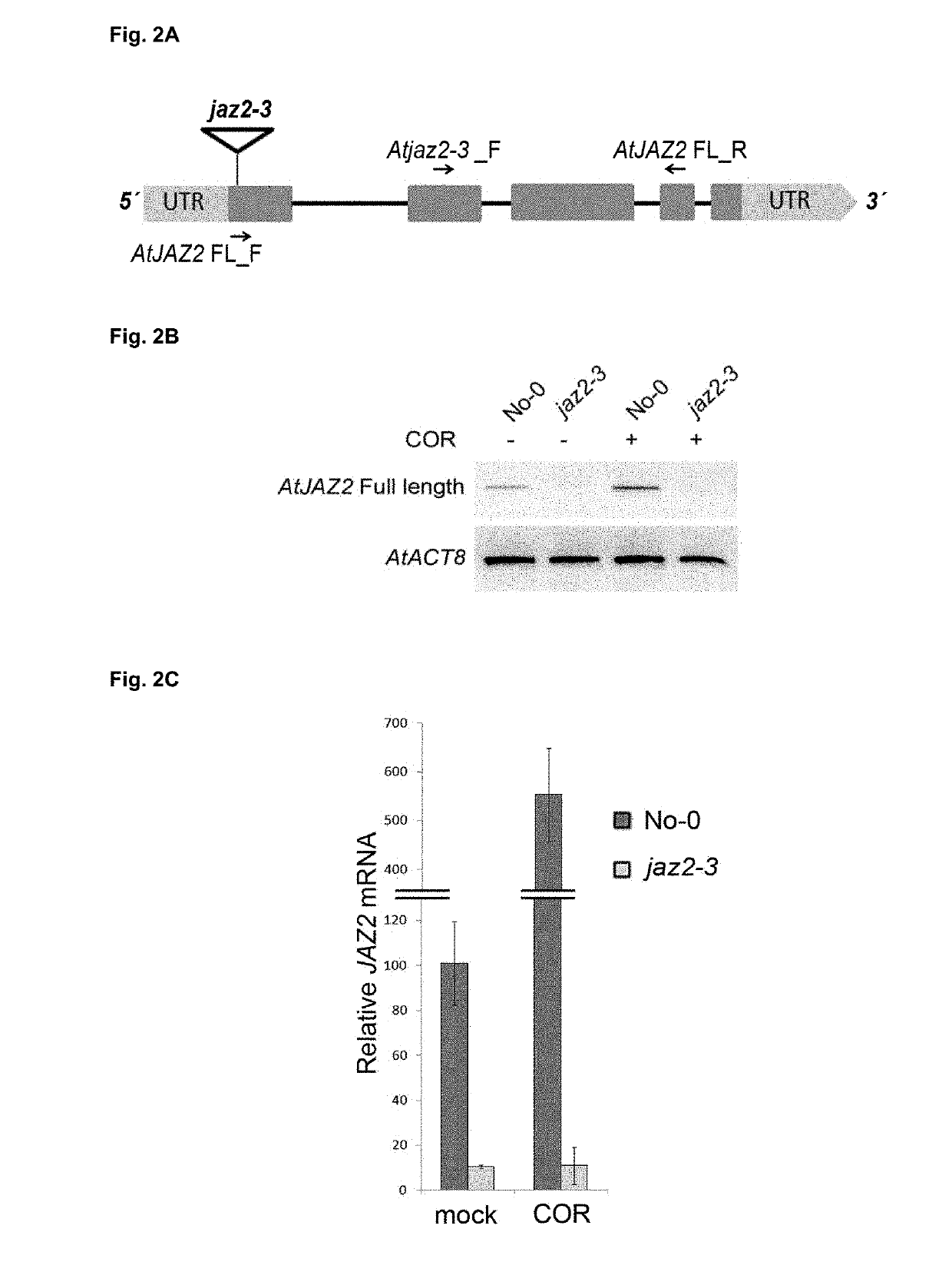 Nucleotide sequence for improving resistance against plant pathogens