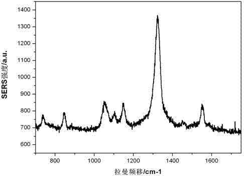 Graphene oxide surface-enhanced Raman scattering positioning drug carrier and preparation method thereof