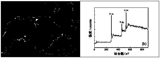 Pd/TiO2atCNT catalyst and preparation method thereof