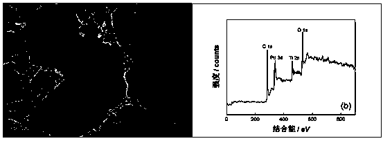 Pd/TiO2atCNT catalyst and preparation method thereof