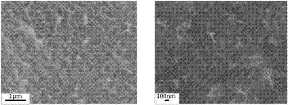 Preparation and application of graphene based metal compound nano array material