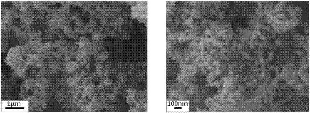 Preparation and application of graphene based metal compound nano array material