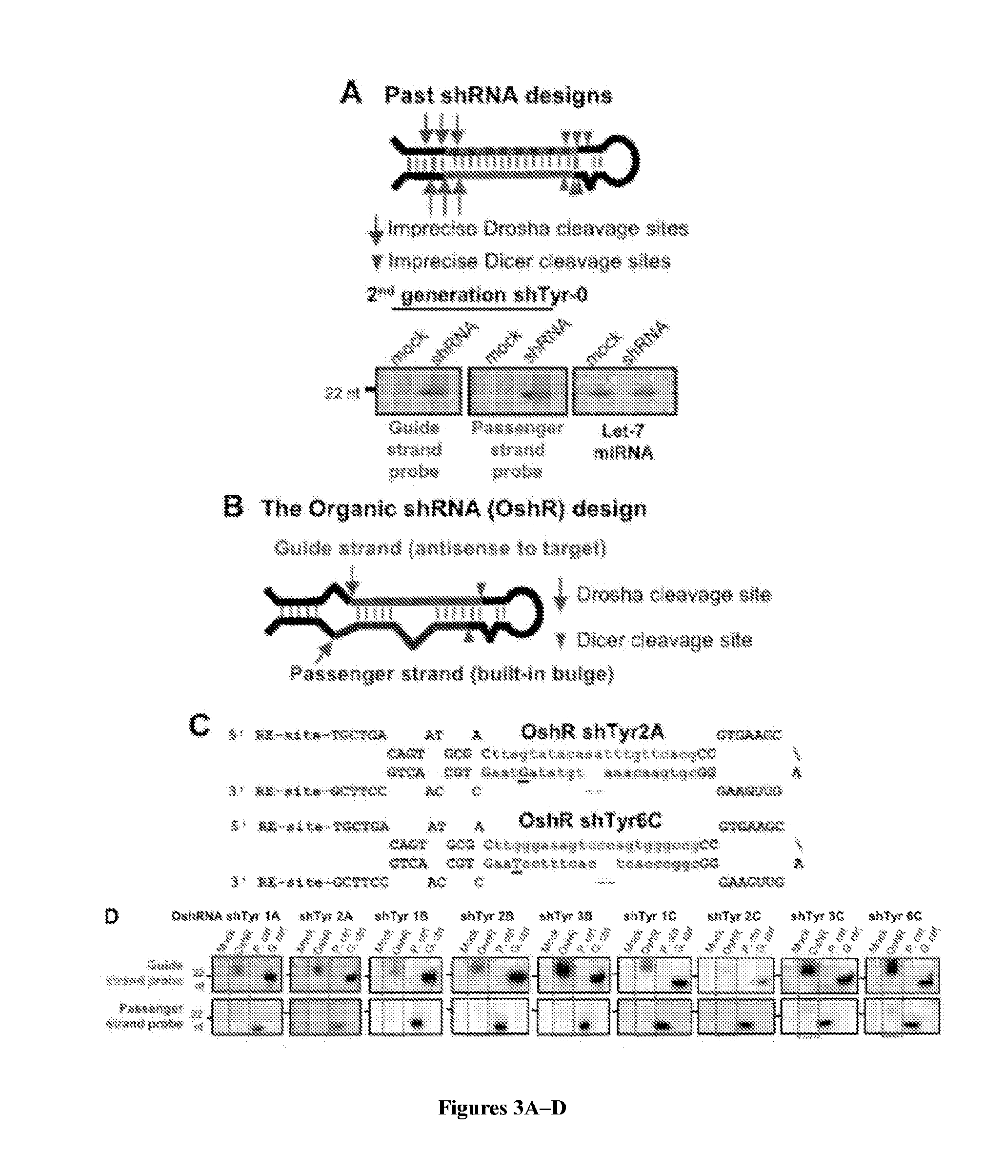 Organic small hairpin rnas