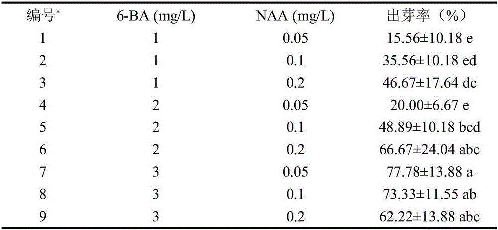 Tissue culturing method of physalis angulata