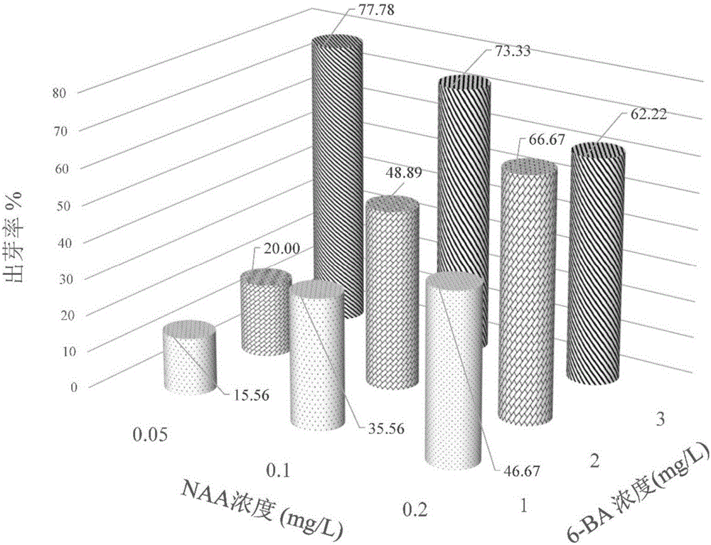 Tissue culturing method of physalis angulata