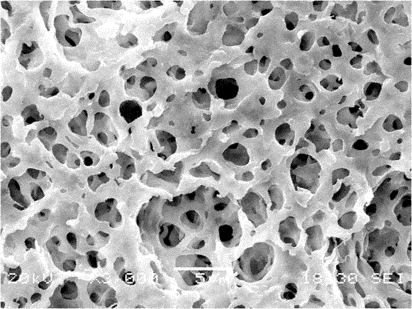 Aluminum oxide modified polymer electrolyte thin film and preparation method thereof