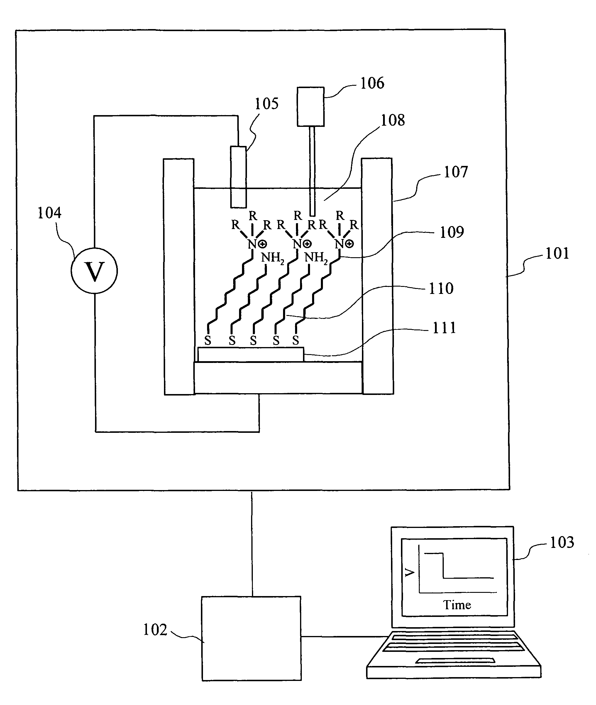 Anion concentration measuring device and anion concentration measuring element