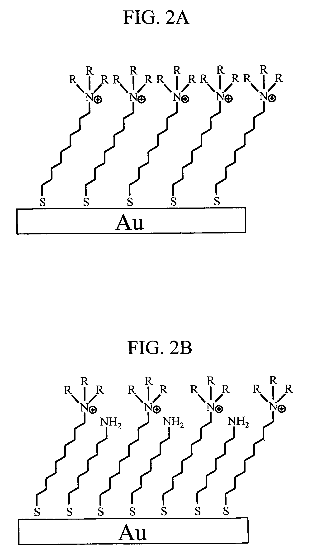 Anion concentration measuring device and anion concentration measuring element