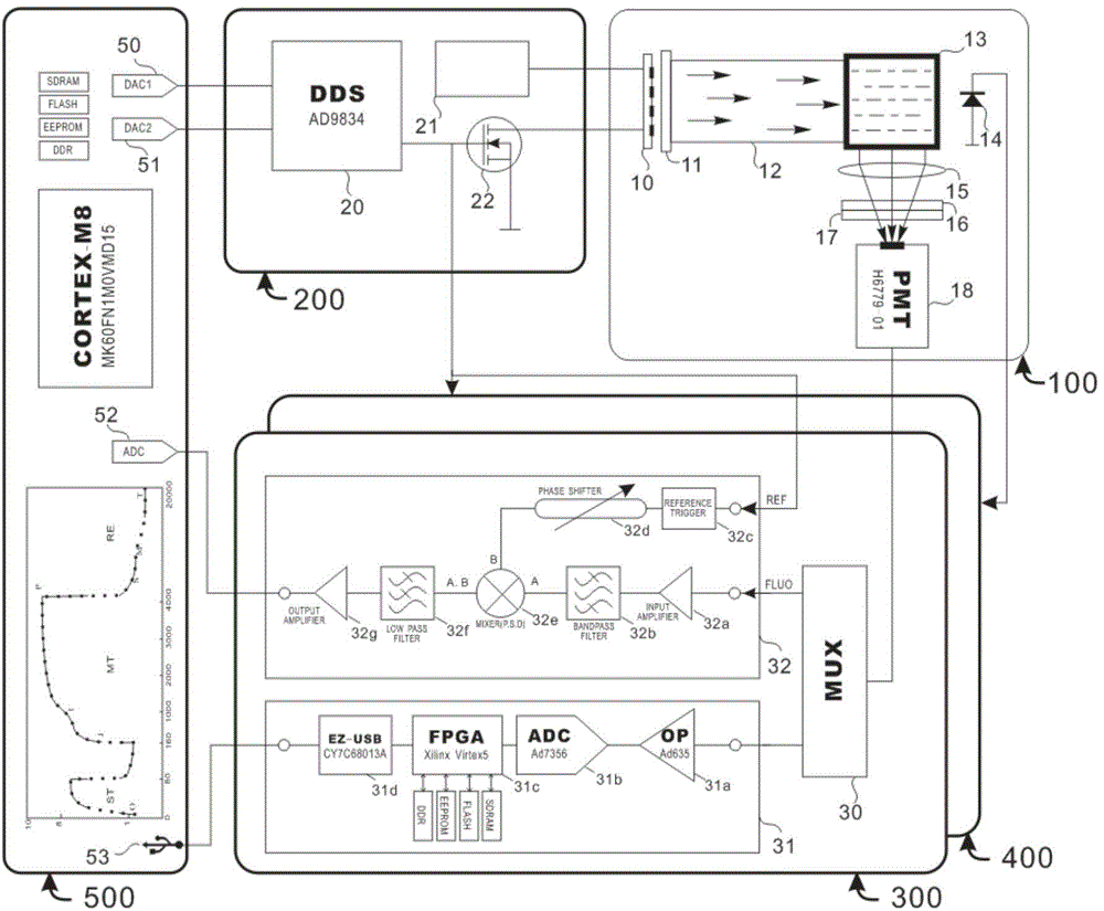 Detection apparatus and detection method of photosynthesis of phytoplankton on the basis of chlorophyll fluorescence