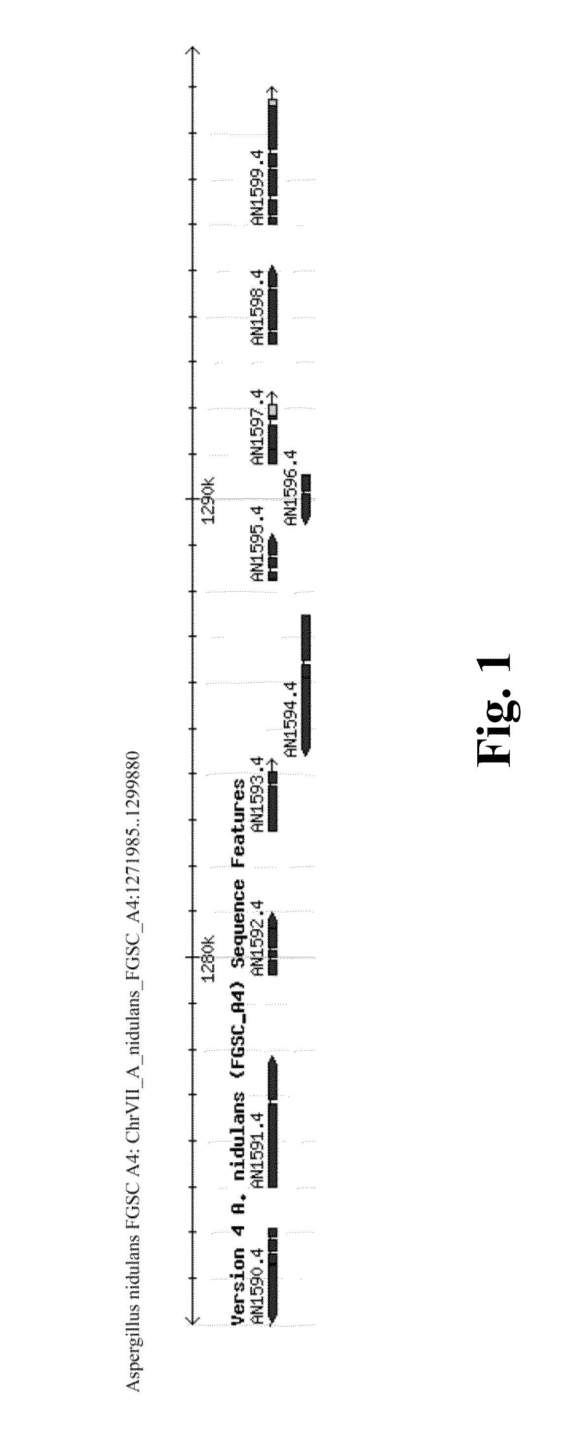 Method for producing terpenes