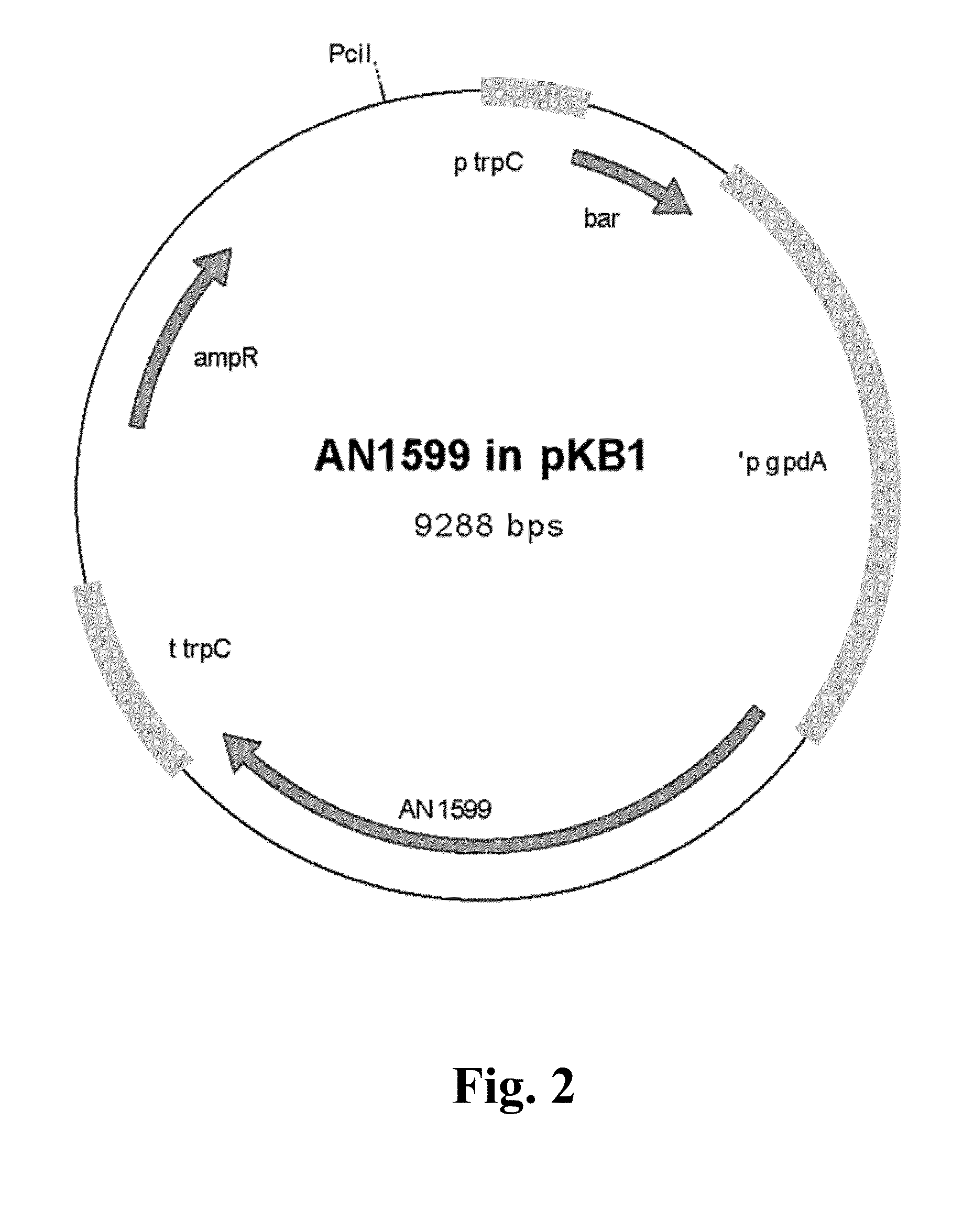 Method for producing terpenes