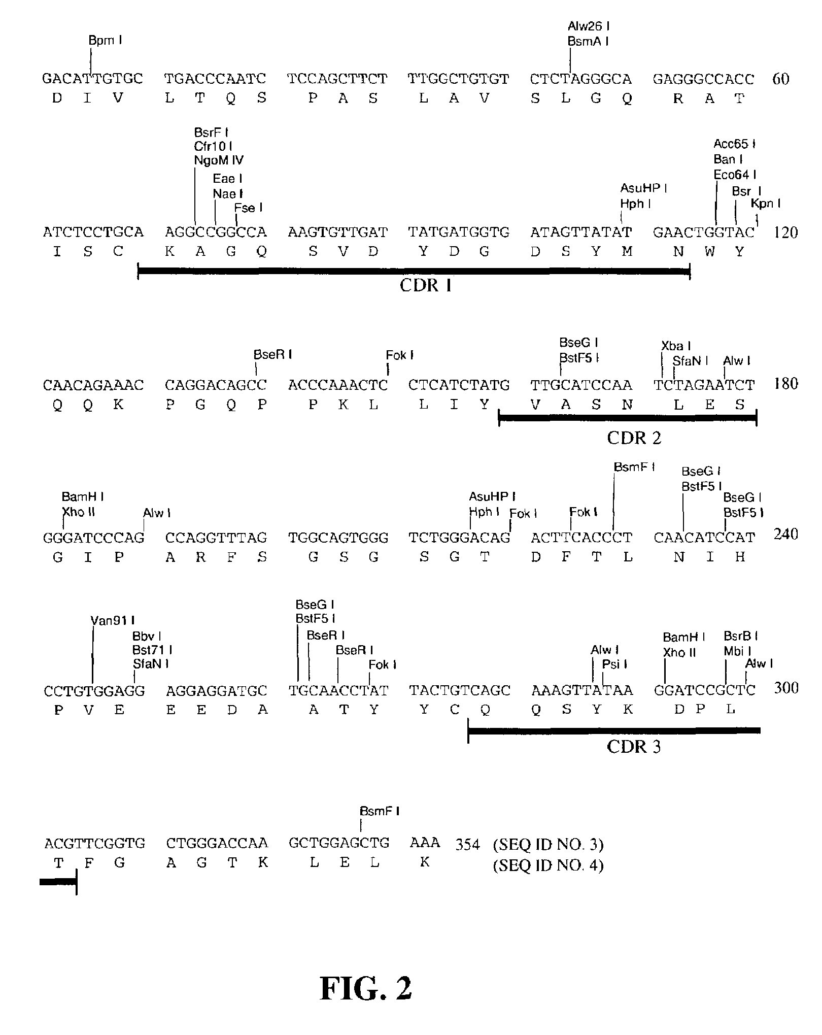 Designed deimmunized monoclonal antibodies for protection against HIV exposure and treatment of HIV infection