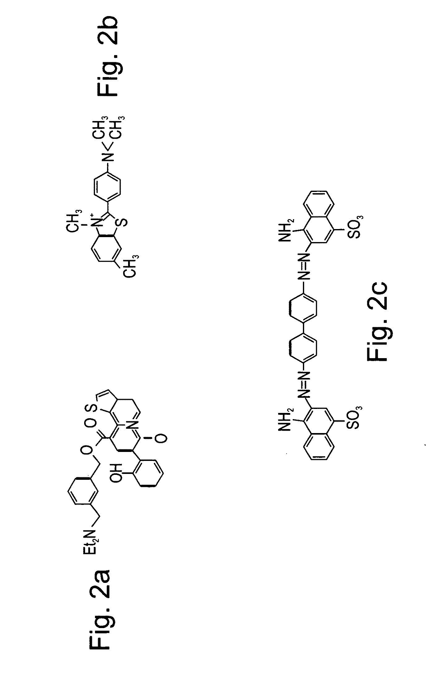 Peptides directed for diagnosis and treatment of amyloid-associated diseases