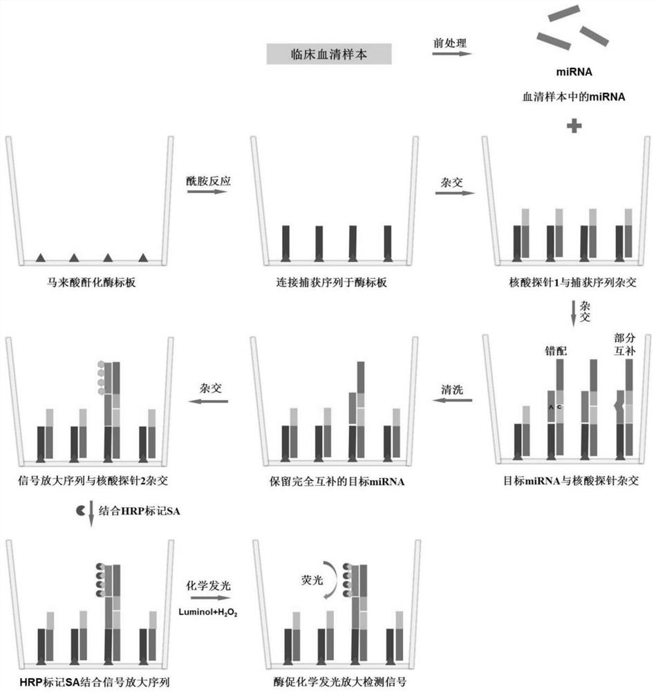 A method for detecting serum miRNAs in cancer patients based on short nucleotide chain ligation