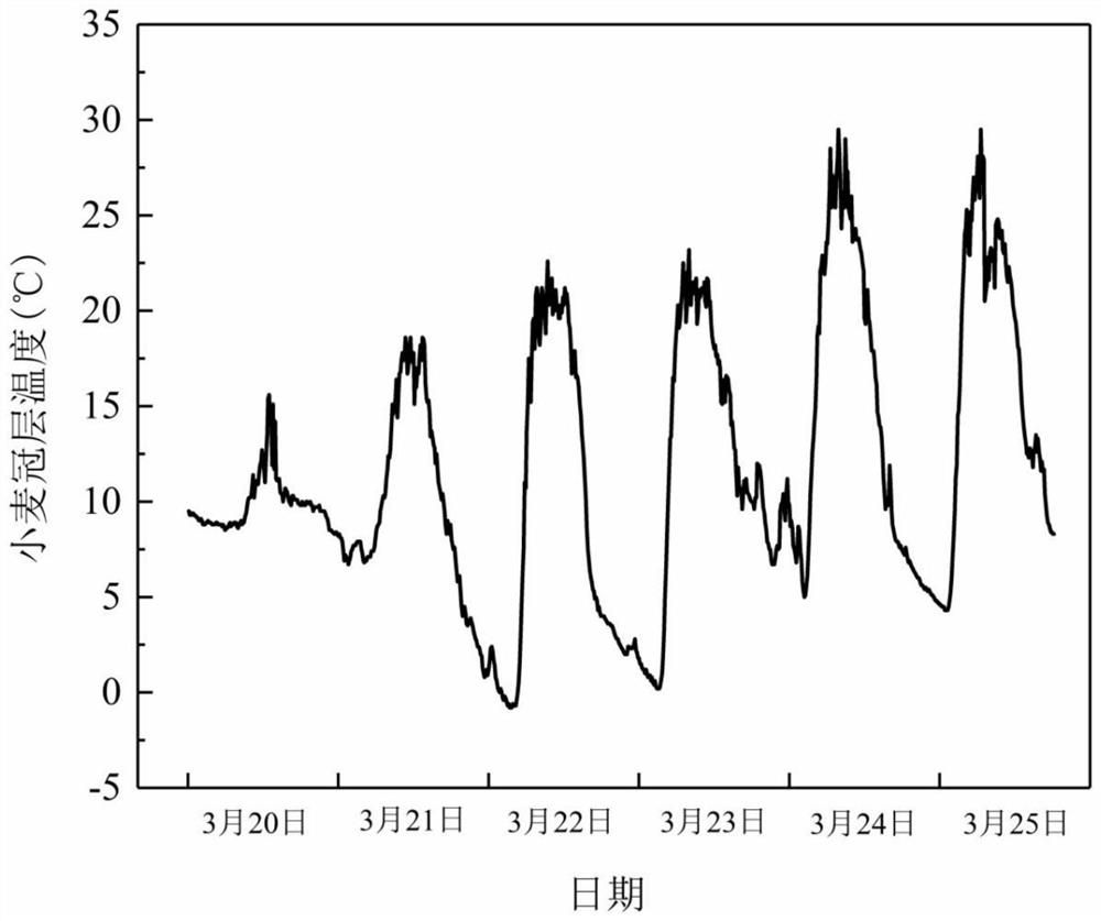 Compound agent for improving cold resistance of wheat in spring, application method and application of compound agent