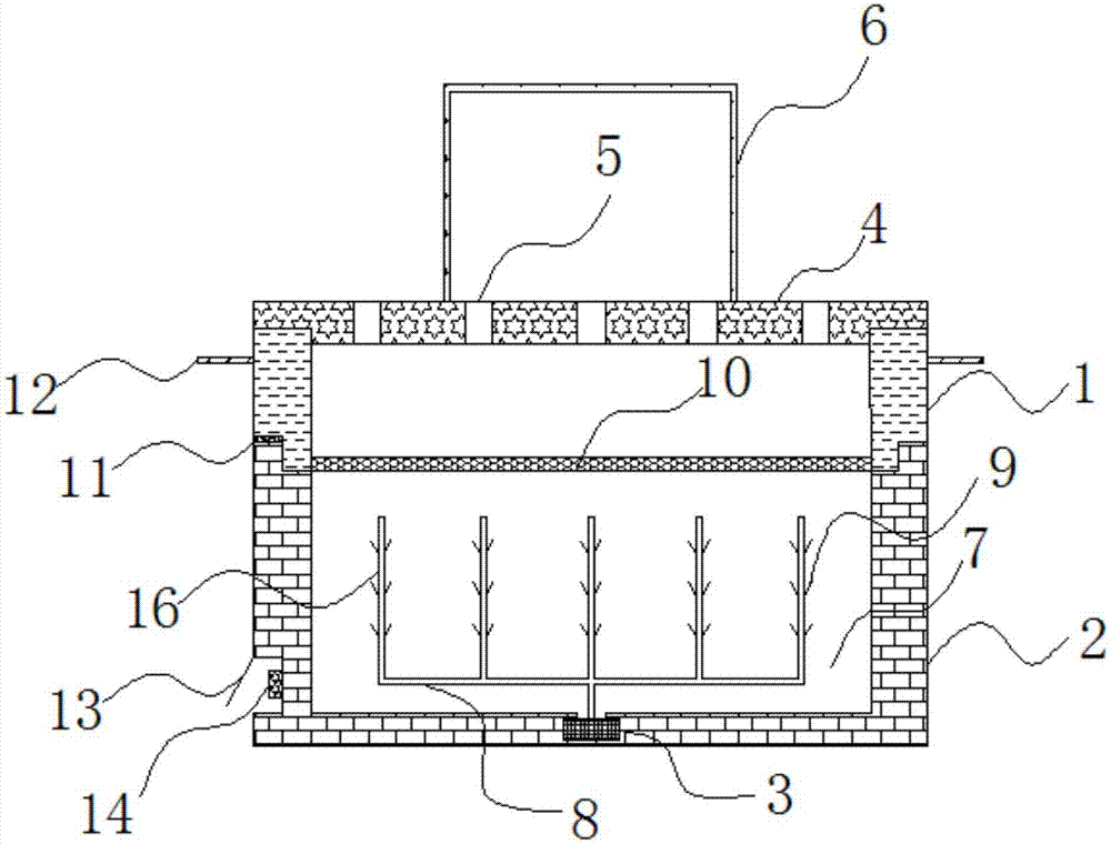 Horticultural plant cultivating and transplanting bucket