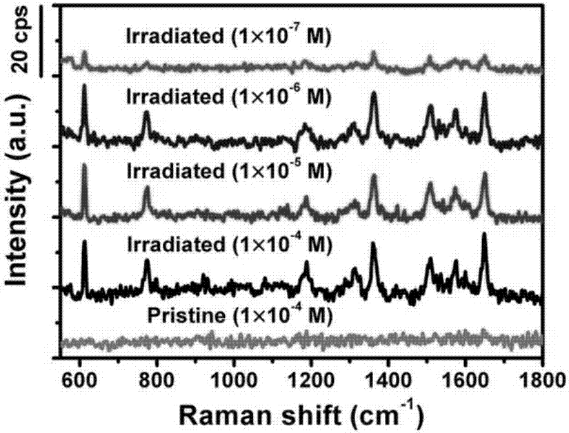 Preparation method of high-sensitivity surface-enhanced Raman scattering substrate