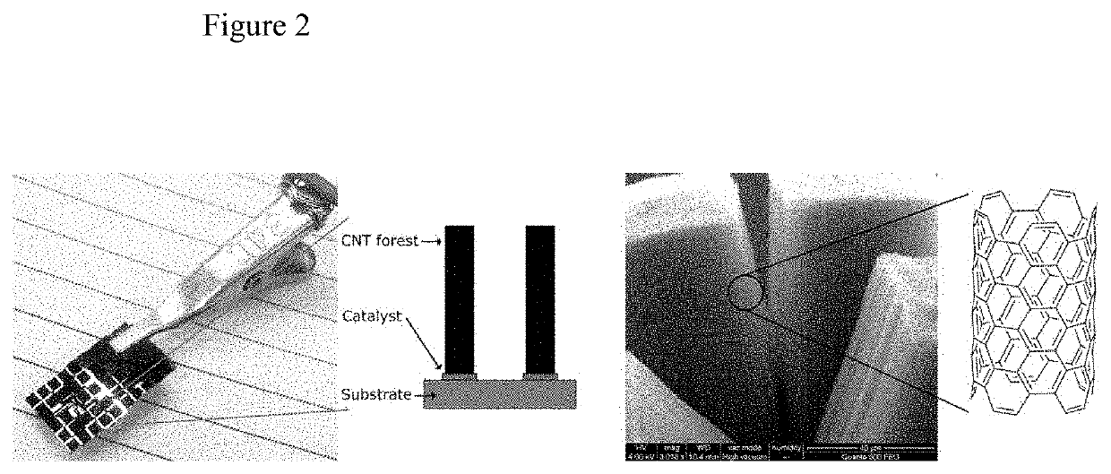 Covalent functionalization of carbon nanotubes grown on a surface