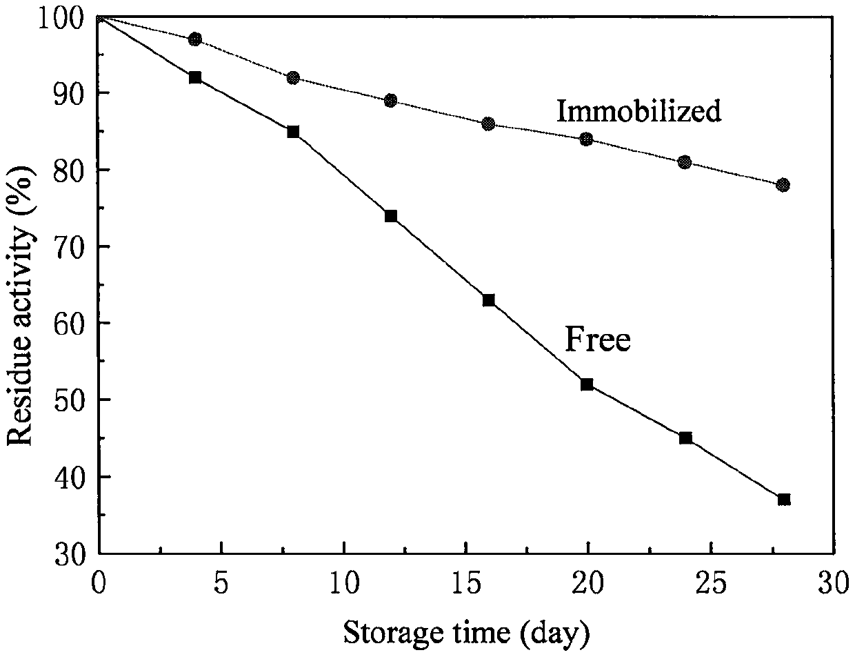 Co-crosslinking immobilization method of porcine pancreatic lipase