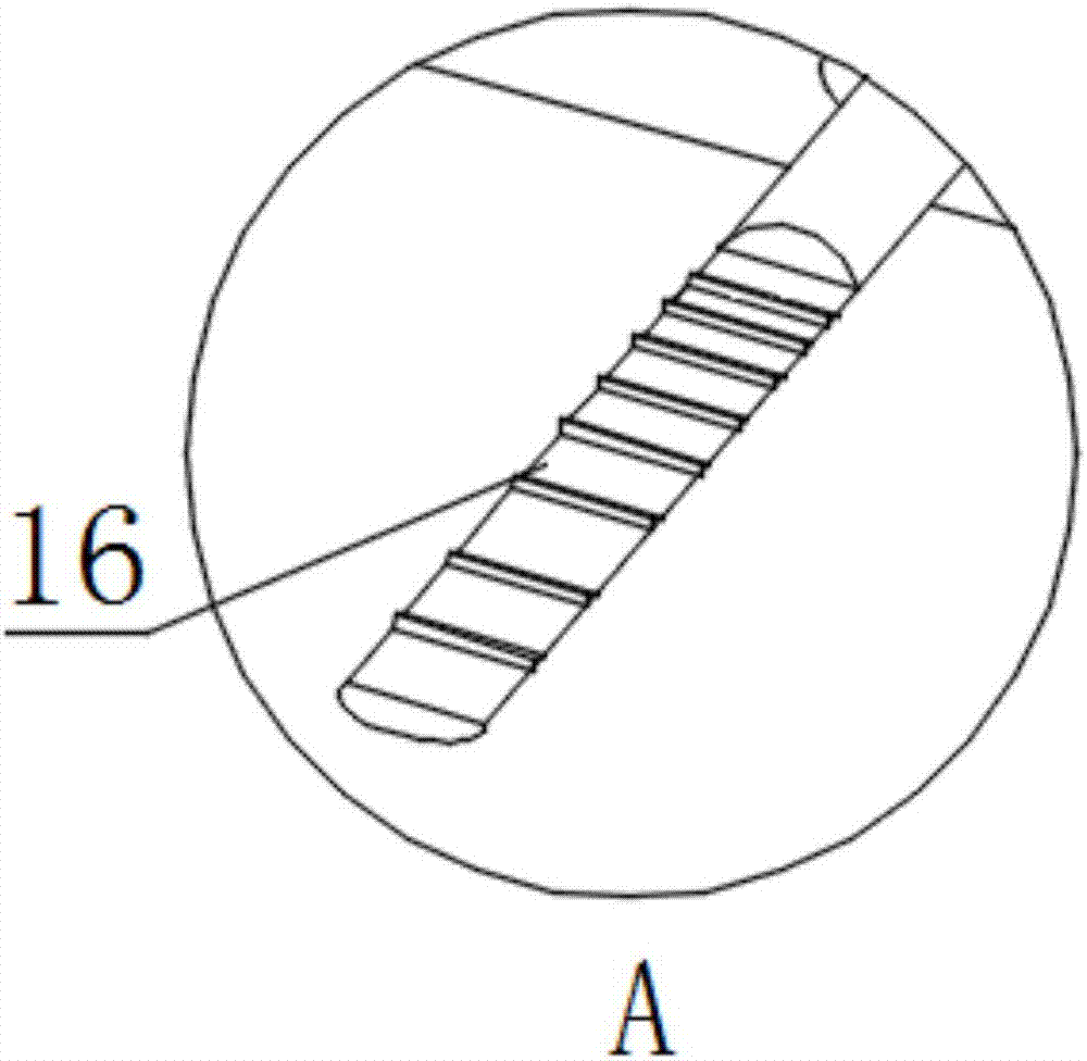 Biological microscope structure for plant quarantine