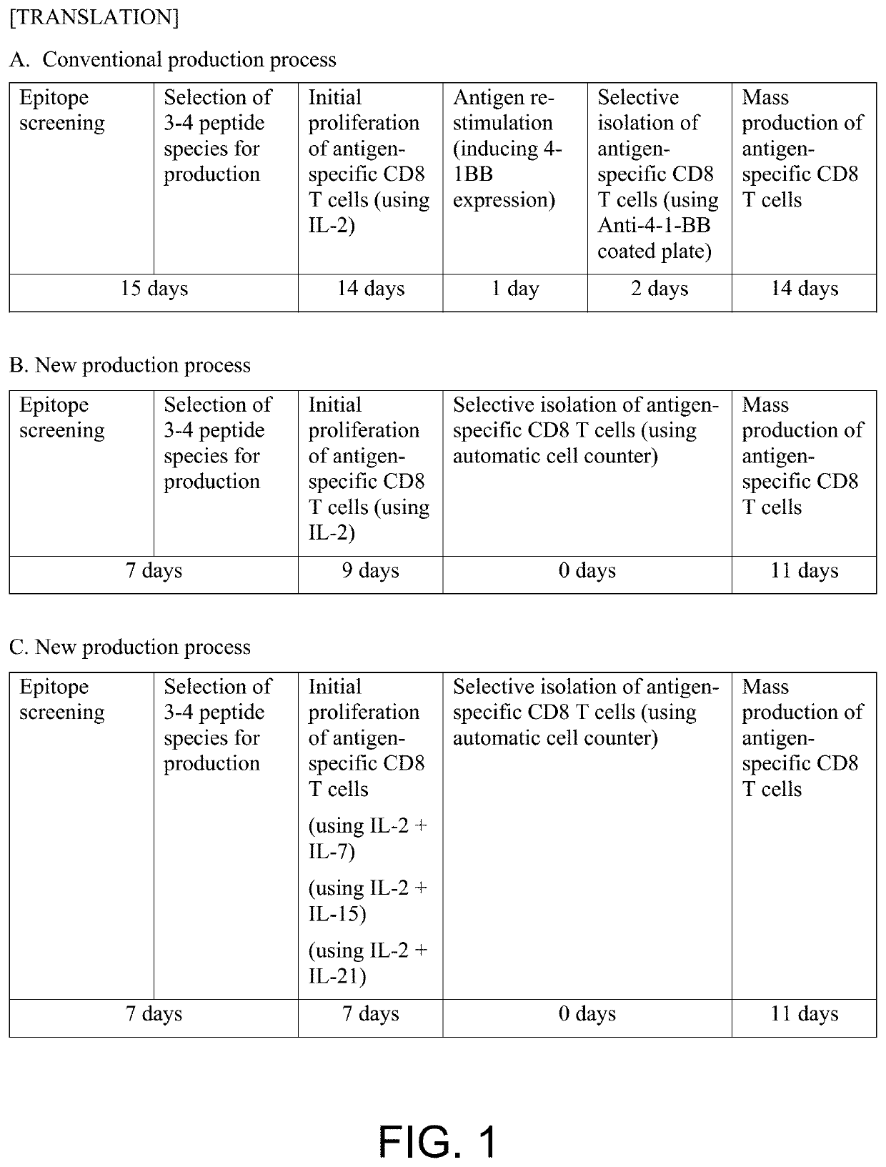 Cancer antigen specific cytotoxic t cell