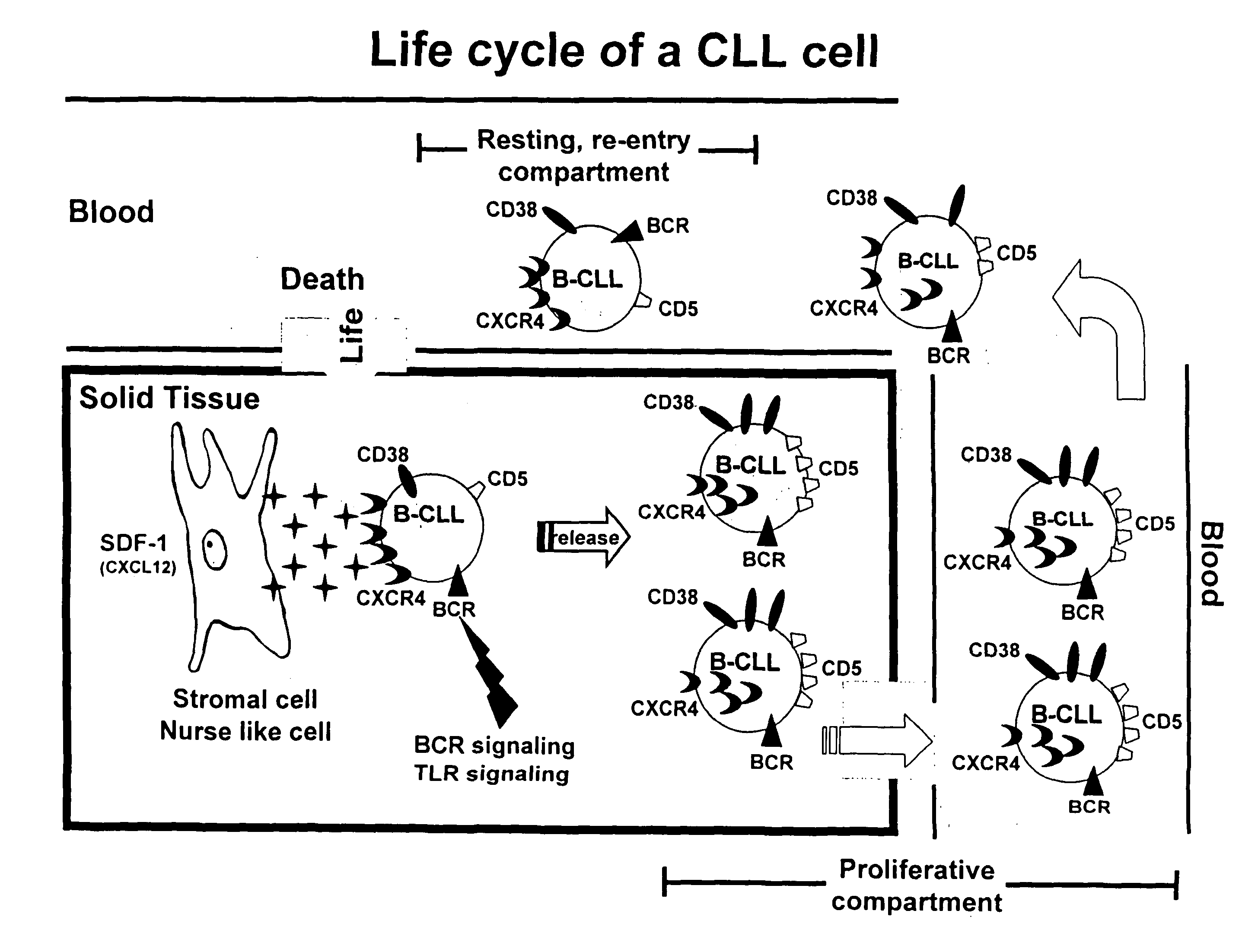 Method for treating chronic lymphocytic leukemia