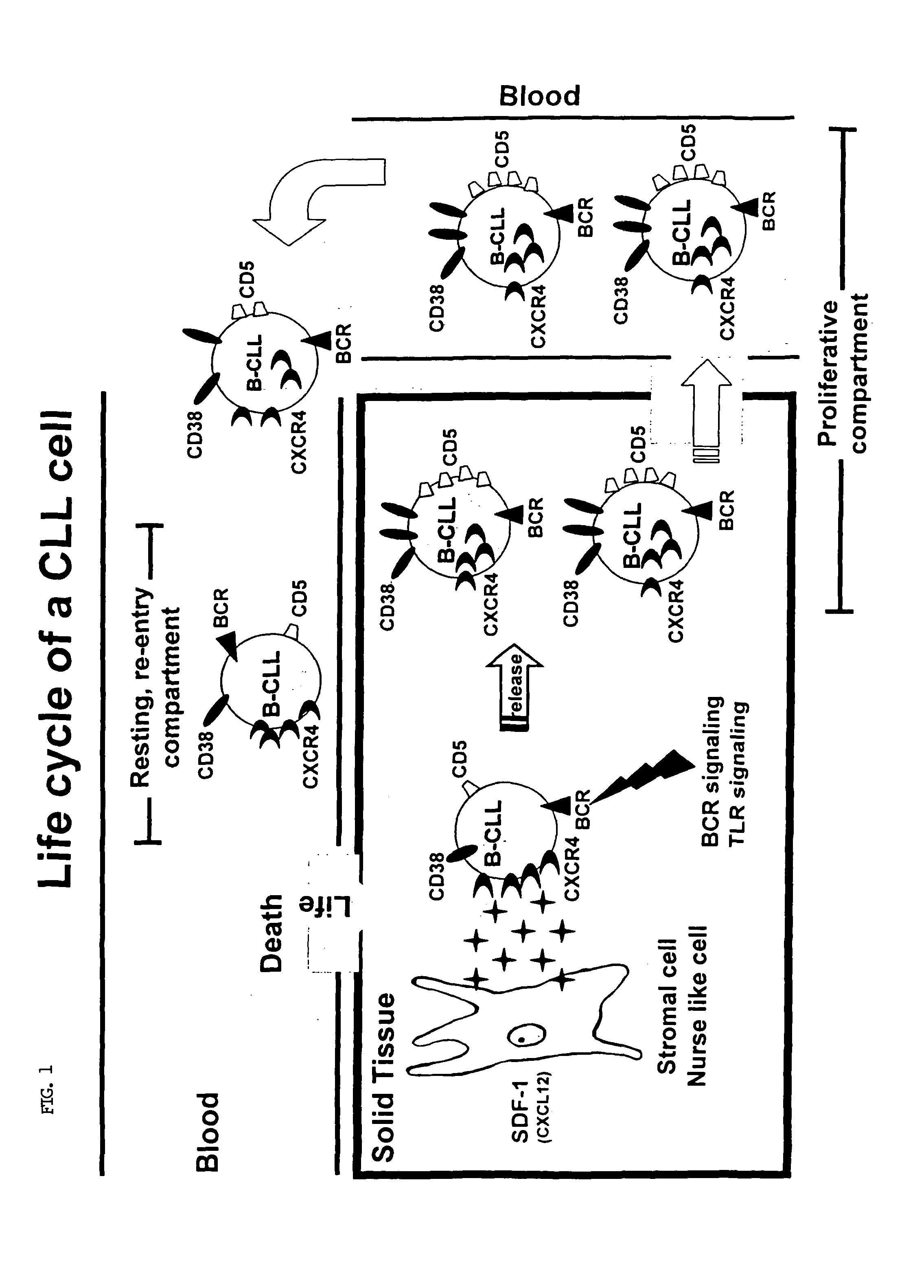 Method for treating chronic lymphocytic leukemia