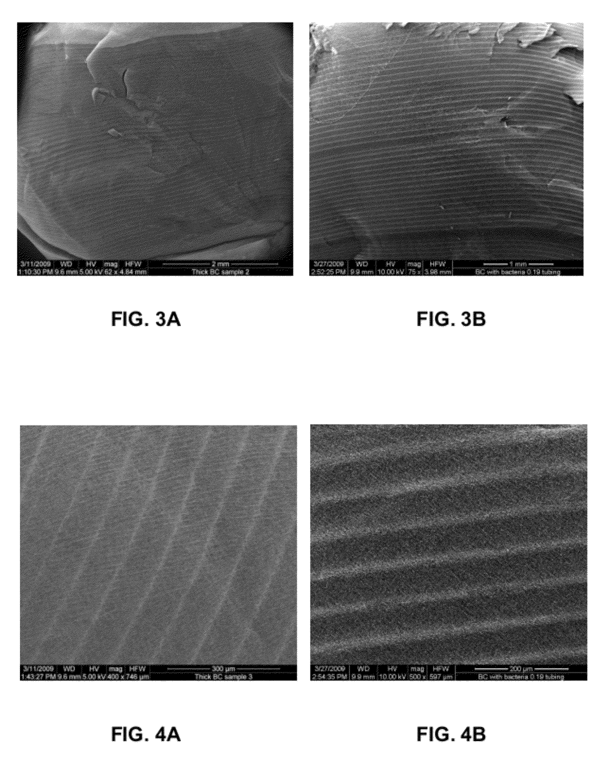 Three-dimensional bioprinting of biosynthetic cellulose (BC) implants and scaffolds for tissue engineering