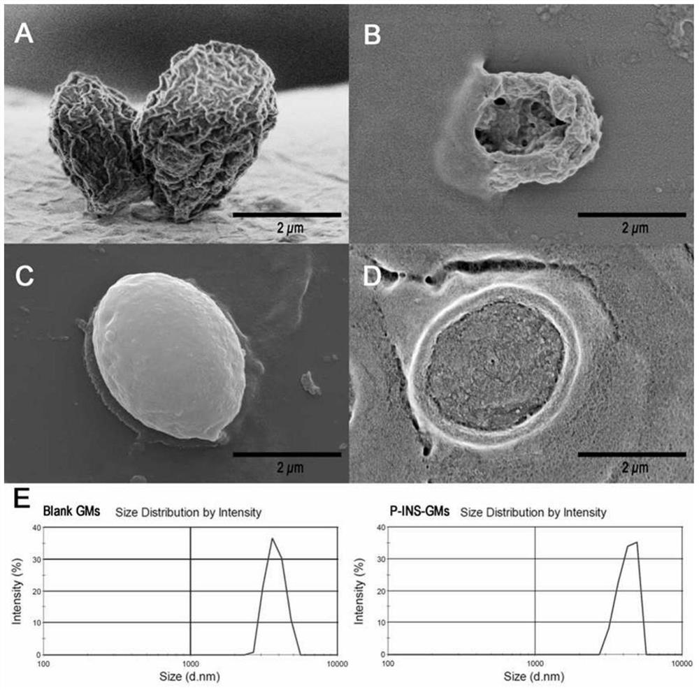 A preparation of yeast cell wall particles that promotes the oral absorption of protein and polypeptide drugs