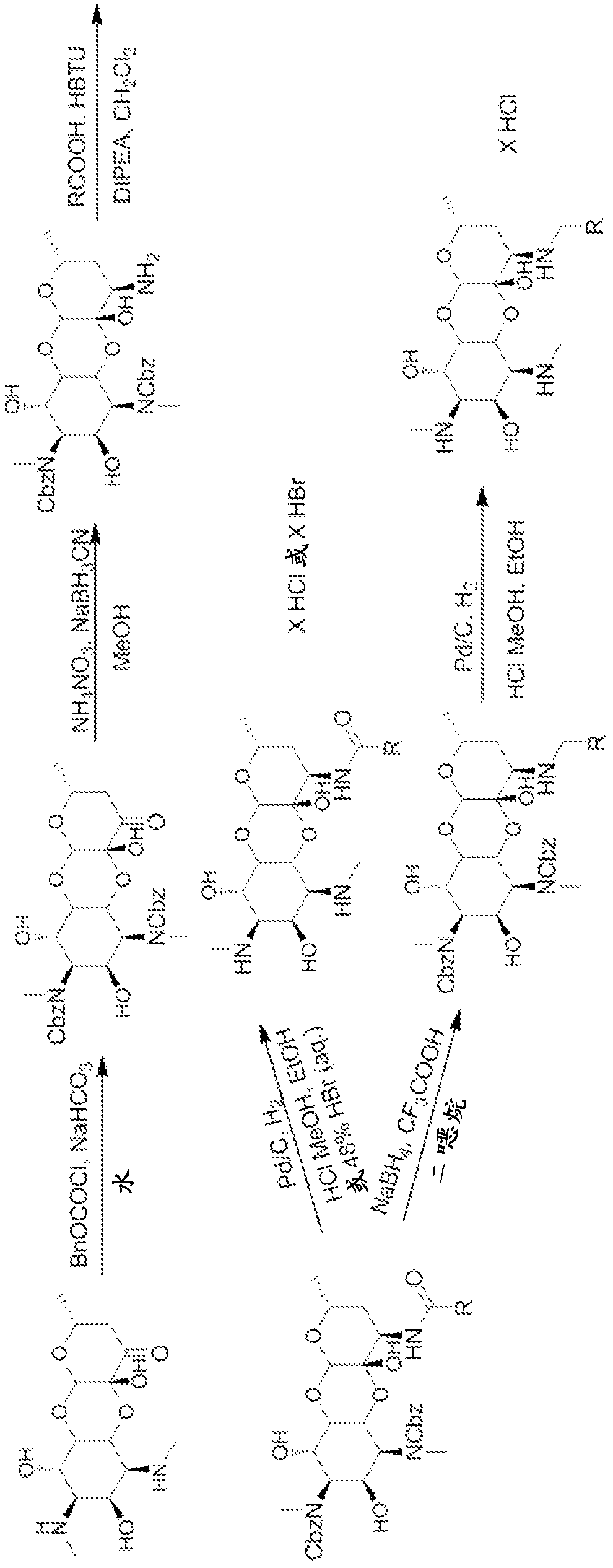 Spectinamides as anti-tuberculosis agents