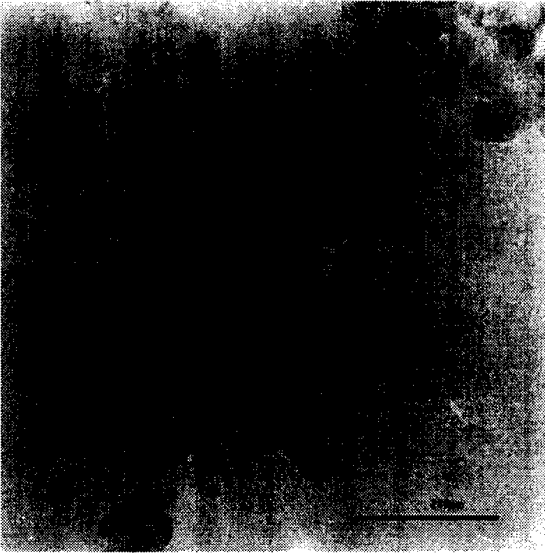 Modified nanometer calcium carbonate and method for making same and uses