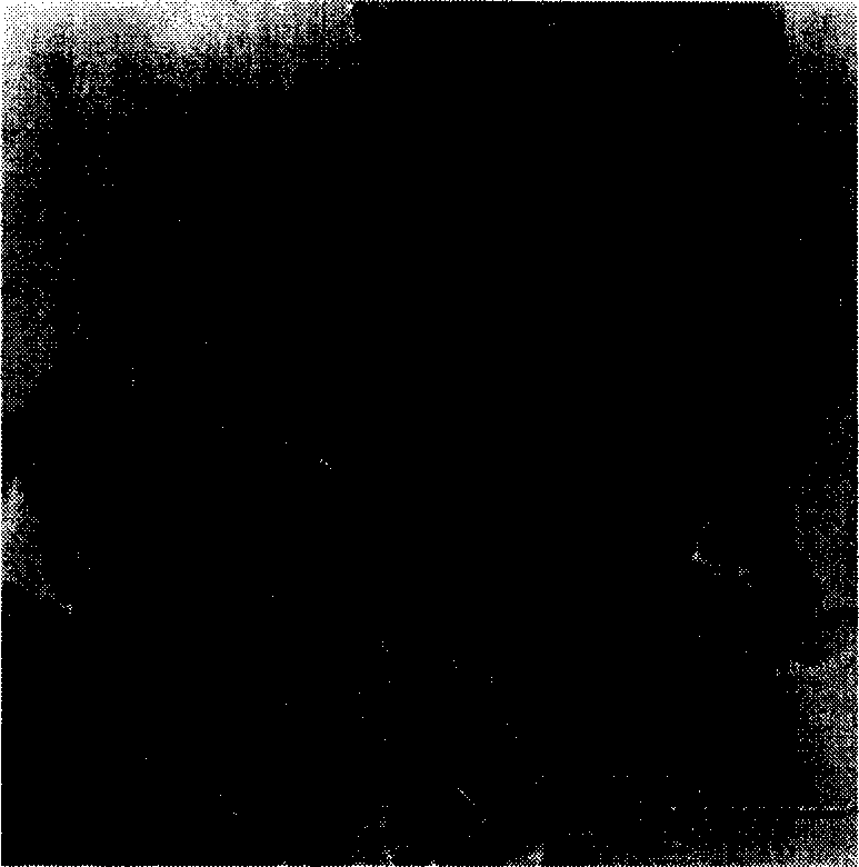 Modified nanometer calcium carbonate and method for making same and uses