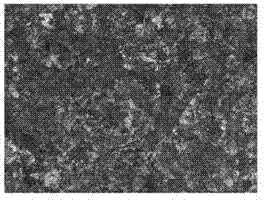 Standard sample for analyzing 82B wire rod sorbite content and preparation method thereof