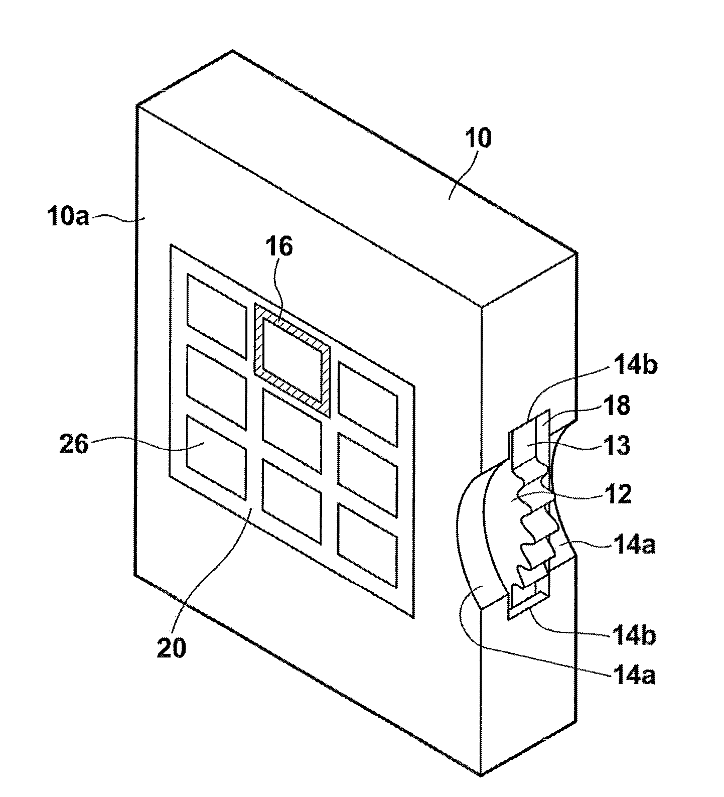 Input device