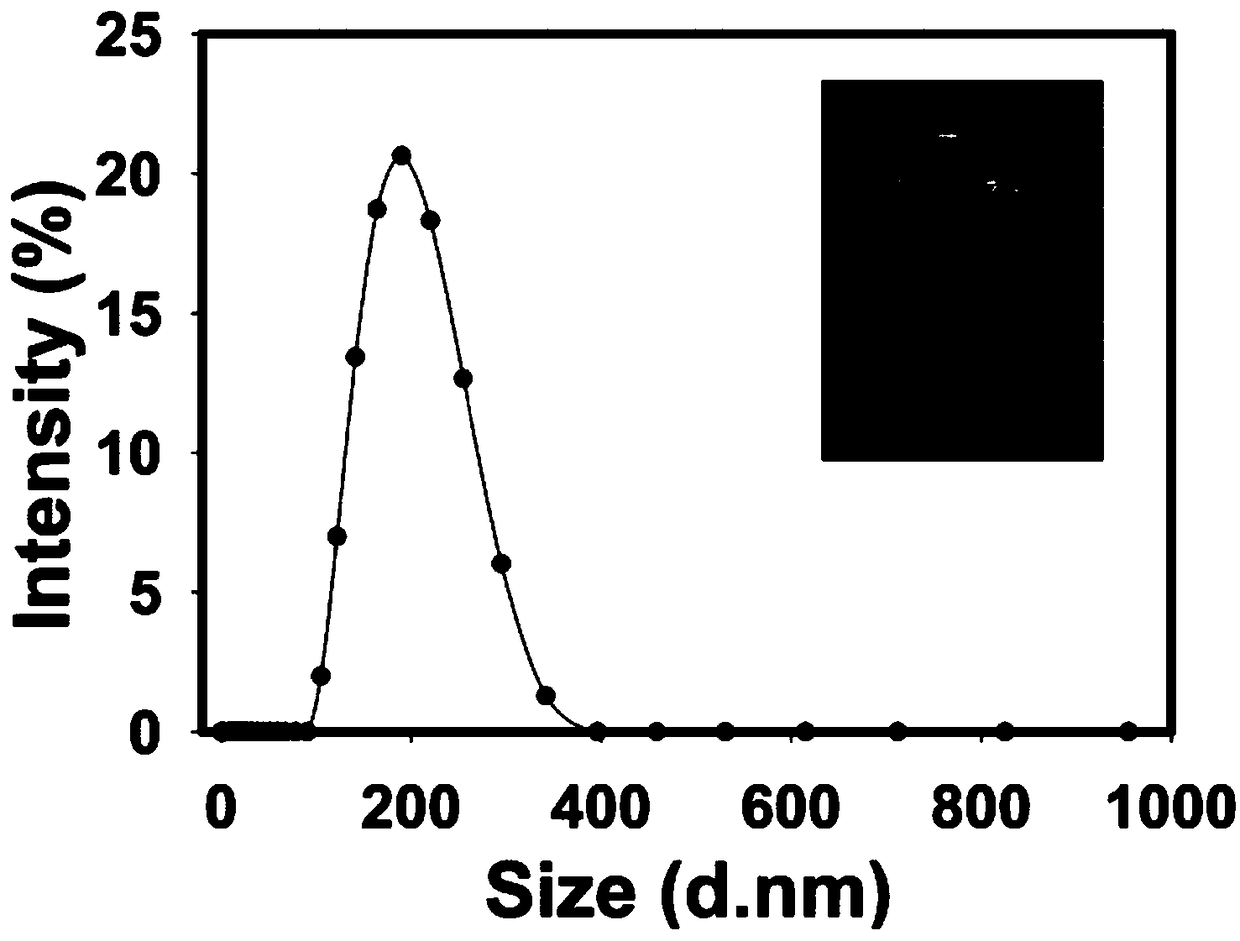 Tumor-targeting nanoparticles, preparation method and application thereof